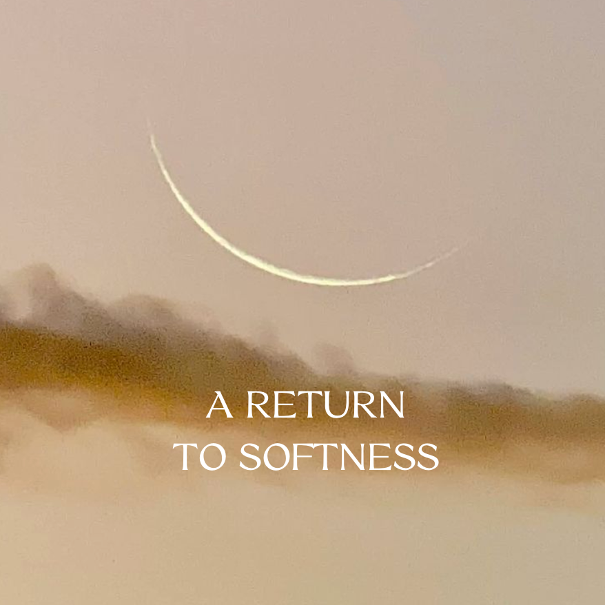 A Gentle Return: Free Yin Yoga Class with Sofia Tsakiridou