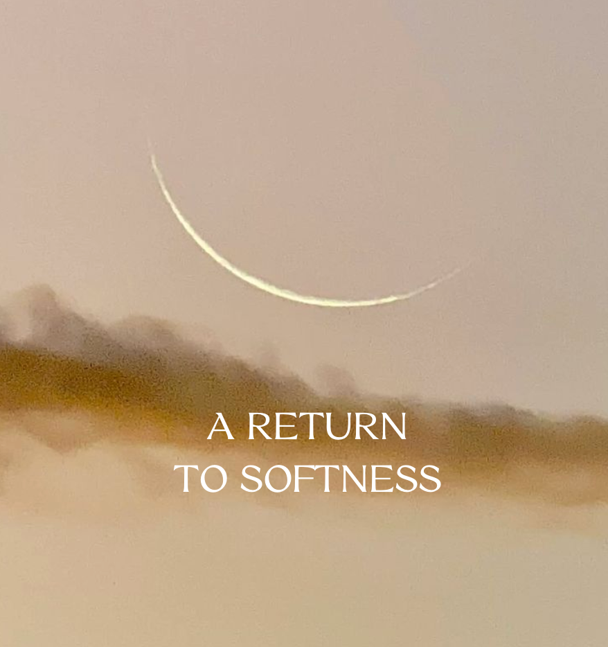 A Gentle Return: Free Yin Yoga Class with Sofia Tsakiridou