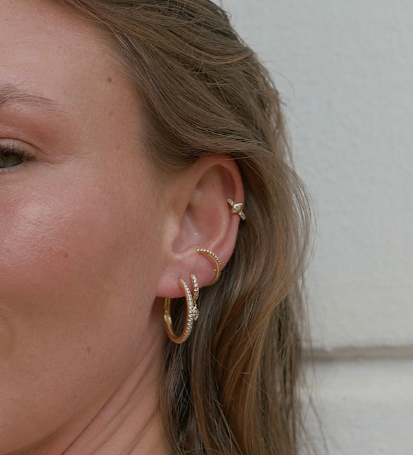 Diana Hoops